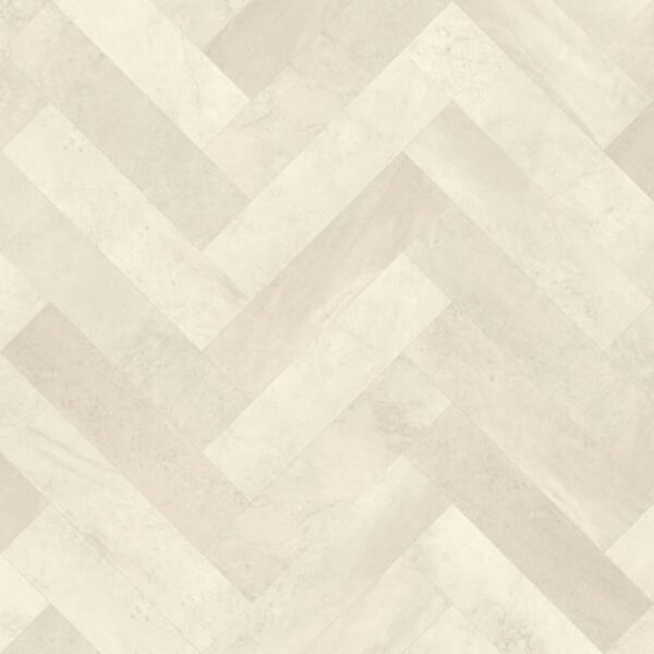 Ammonite in Large Parquet Ammonite in Large Parquet