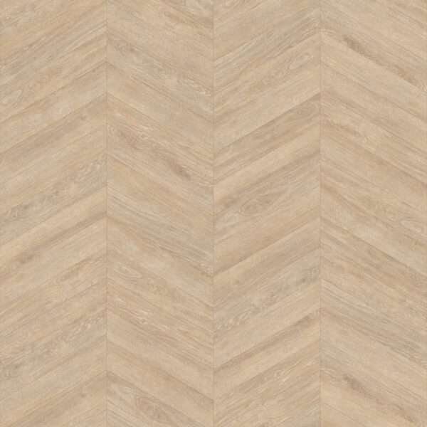 Cowrie Oak in Chevron