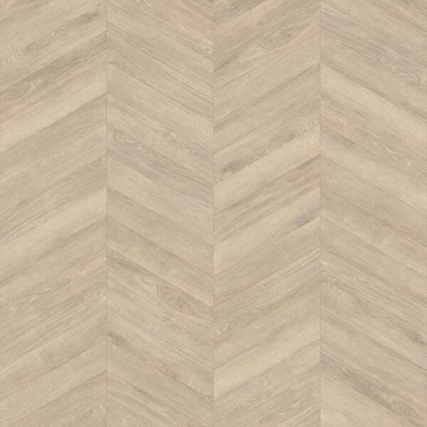 Shell Oak in Chevron