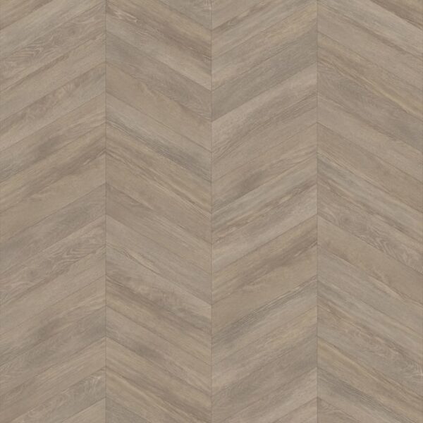 Bergen Oak in Chevron