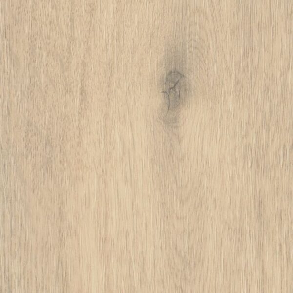 Laholm Oak Laholm Oak