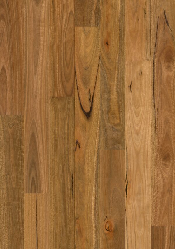 Spotted gum 1 strip matt