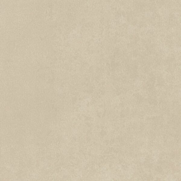 Diffusion Cashew Diffusion Cashew