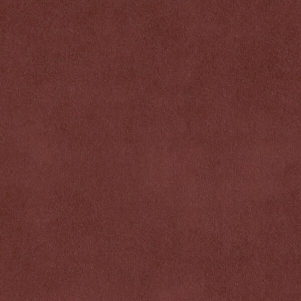 Stucco Roselle Stucco Roselle