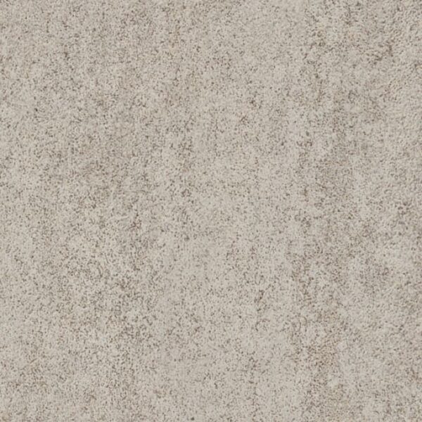 Basilica Shell Basilica Shell