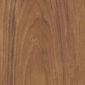 Dry Teak