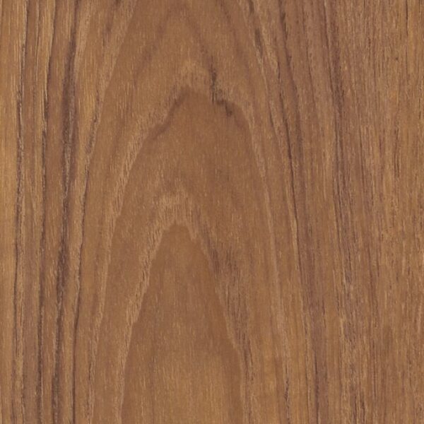 Dry Teak