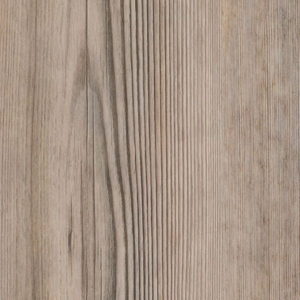 Parisian Pine Parisian Pine