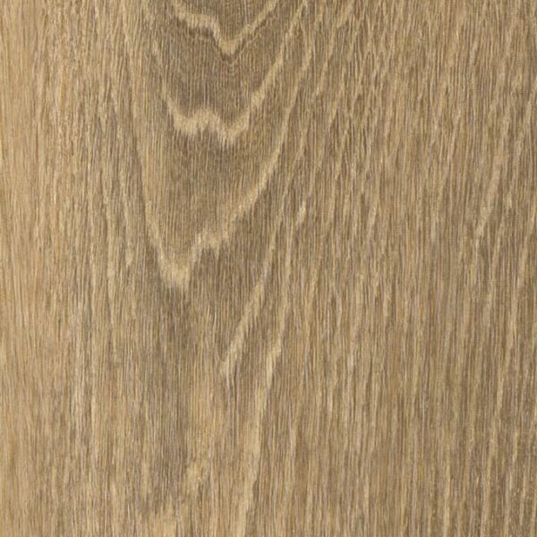 Whinlatter Oak Whinlatter Oak