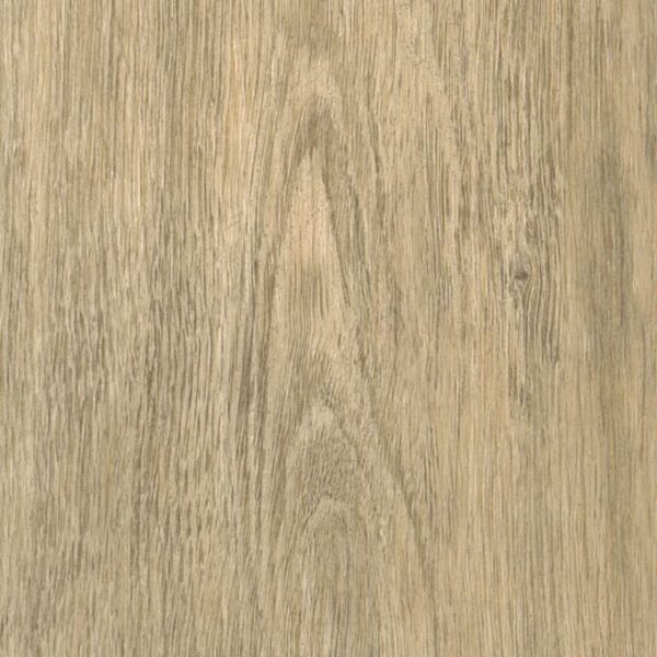 Hamsterley Oak Hamsterley Oak