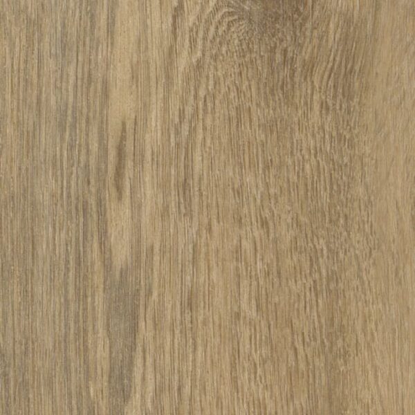 Hackfall Oak Hackfall Oak