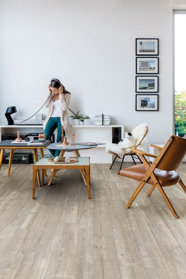 Morning mist pine Morning mist pine