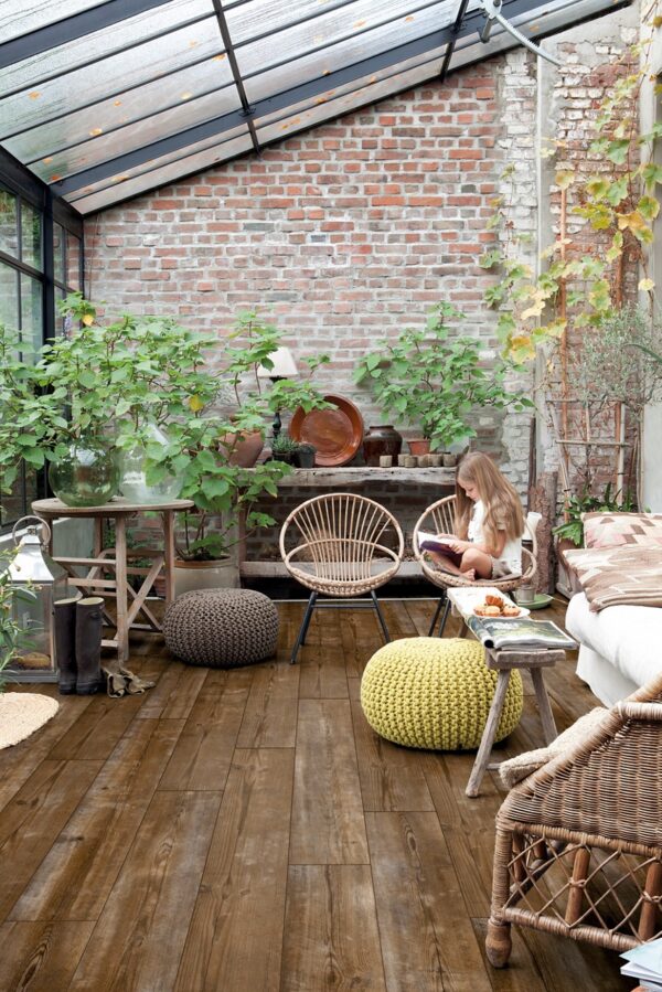 Sundown pine Sundown pine