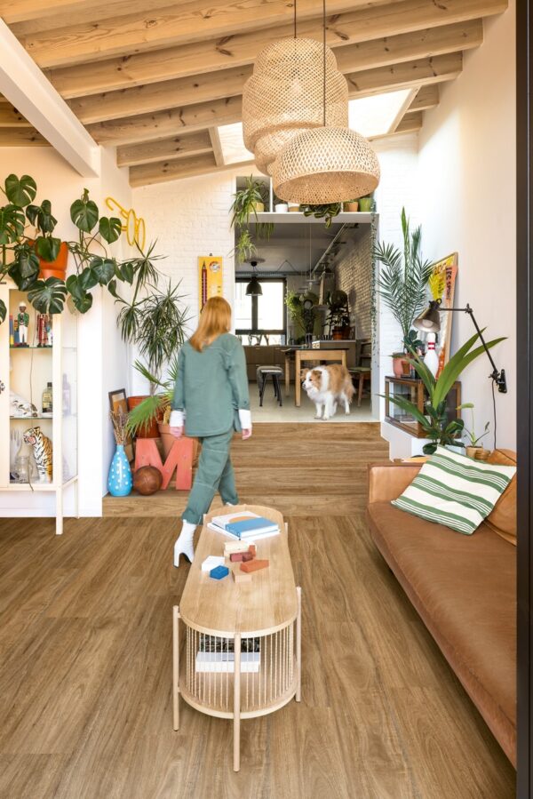 Wild spotted Gum Wild spotted Gum