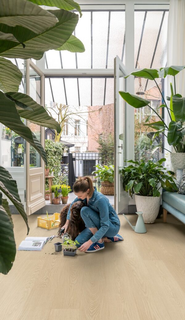 Buttermilk oak Buttermilk oak