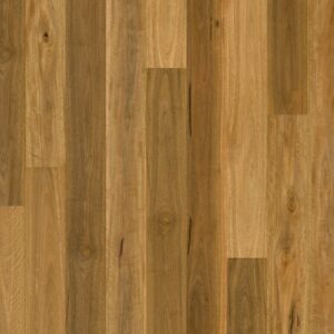 Spotted gum 1 strip