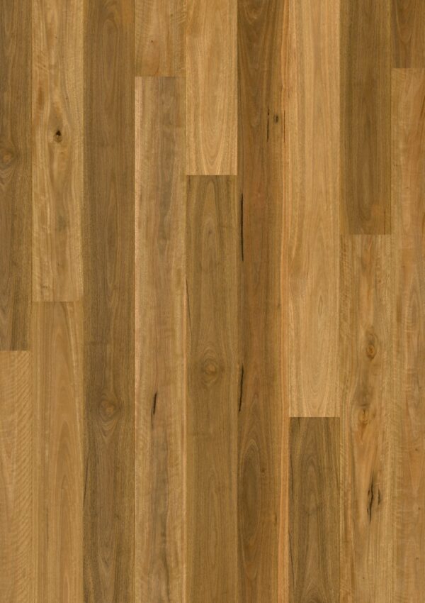 Spotted gum 1 strip