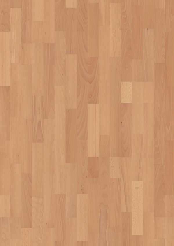 Floor: Beech Transparent Andante Floor: Beech Transparent Andante