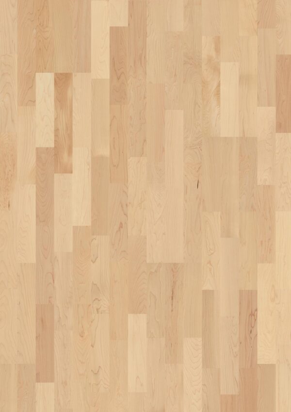 Floor: Maple can. Transparent Andante Floor: Maple can. Transparent Andante
