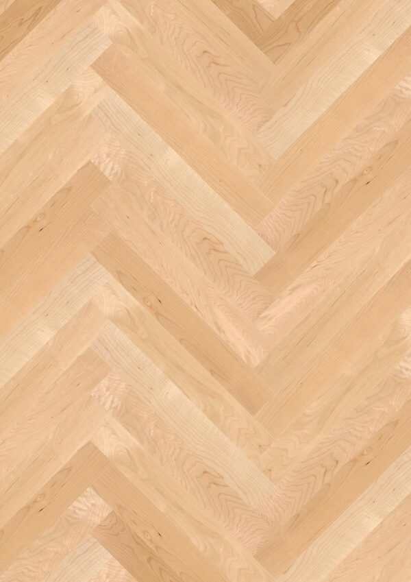 Floor: Maple can. Transparent Nature