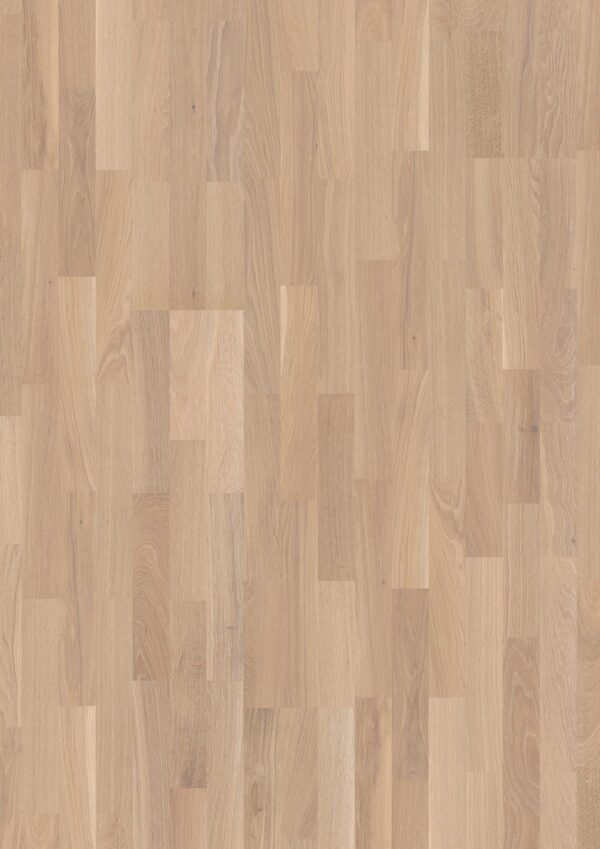 Floor: Oak Coral Finale