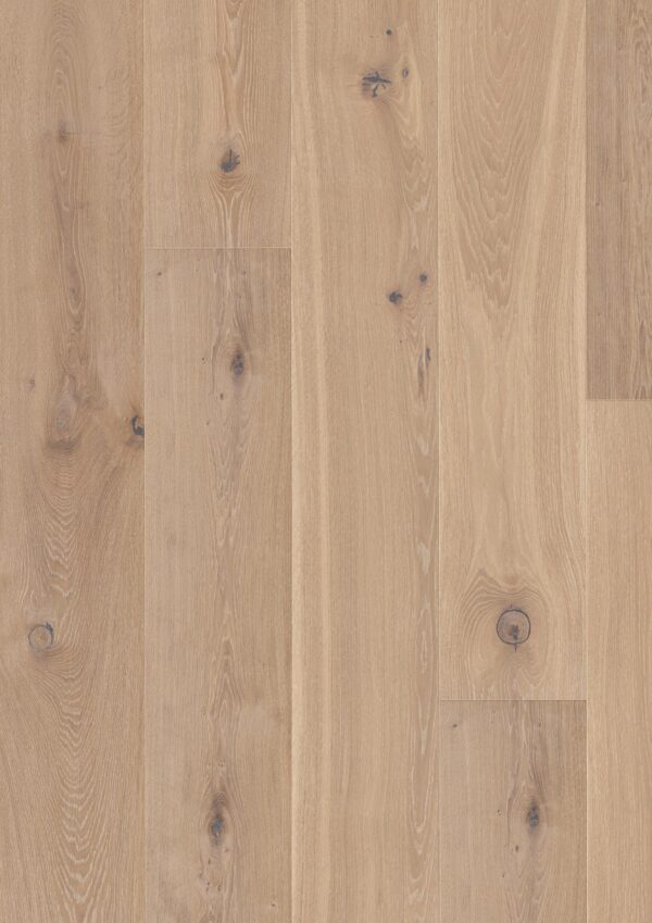 Floor: Oak Coral Traditional