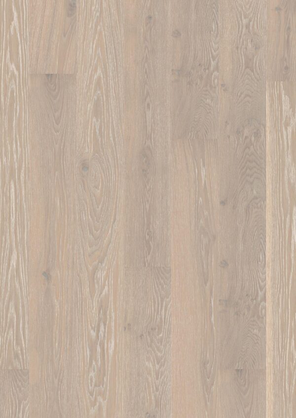 Floor: Oak Grey Harmony Animoso
