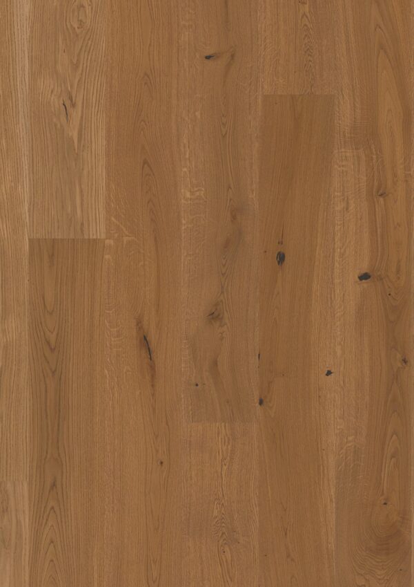 Floor: Oak Honey Vivo