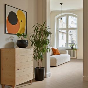 Floor: Oak Pale White Andante