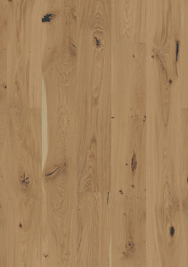 Floor: Oak Senses Espressivo Floor: Oak Senses Espressivo