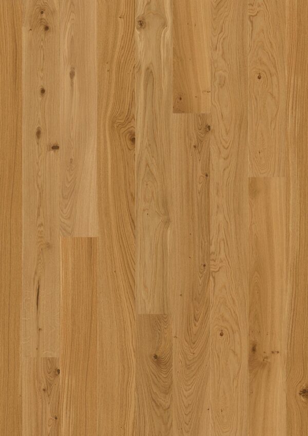 Floor: Oak Transparent Animoso