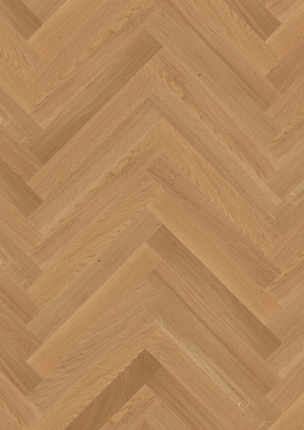 Floor: Oak Transparent Select