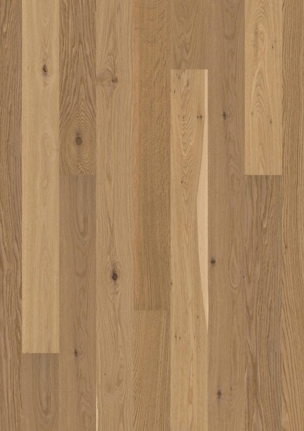 Floor: Oak Transparent Semi Smoked Animoso Floor: Oak Transparent Semi Smoked Animoso