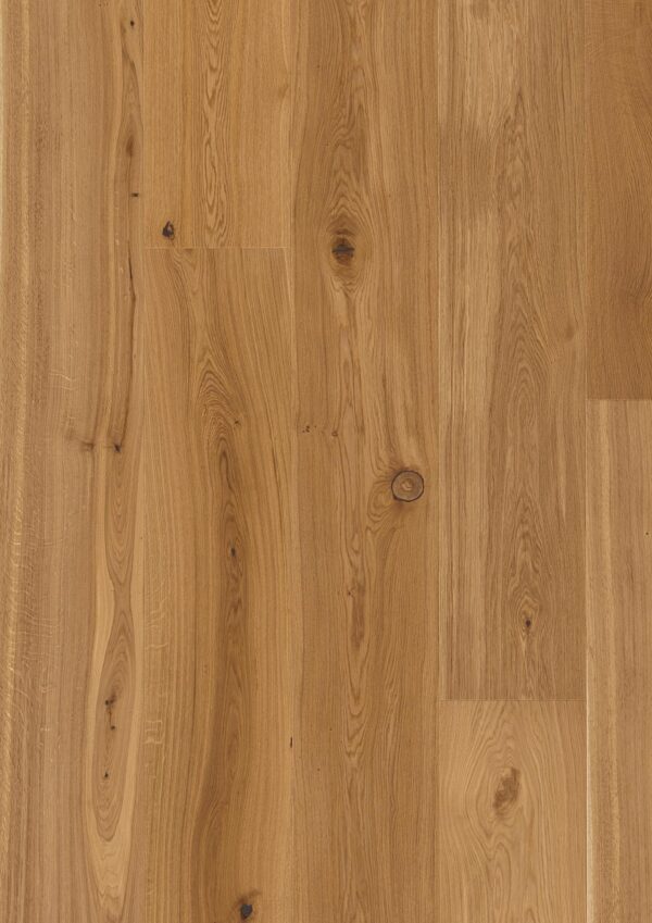 Floor: Oak Transparent Traditional Floor: Oak Transparent Traditional