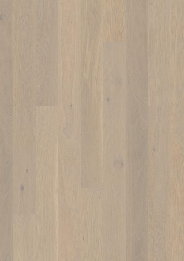 Floor: Oak Warm Cotton Animoso Floor: Oak Warm Cotton Animoso