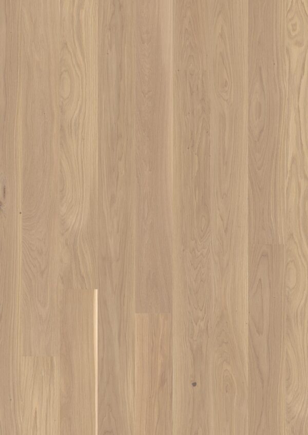 Floor: Oak White Andante