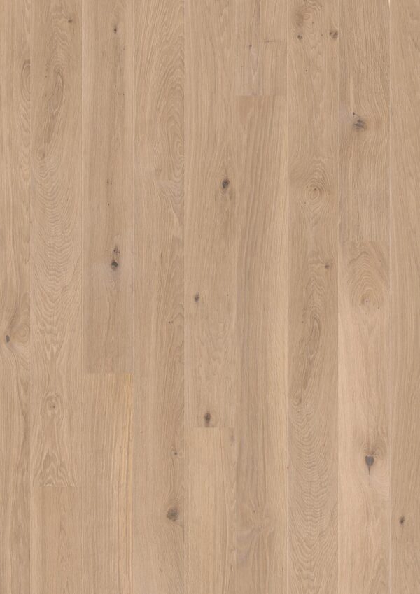 Floor: Oak White Animoso