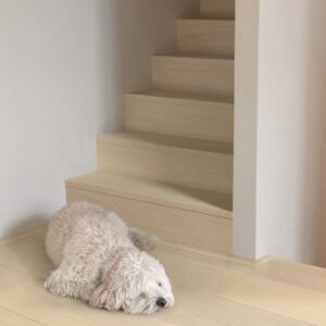 Snow white oak extra matt