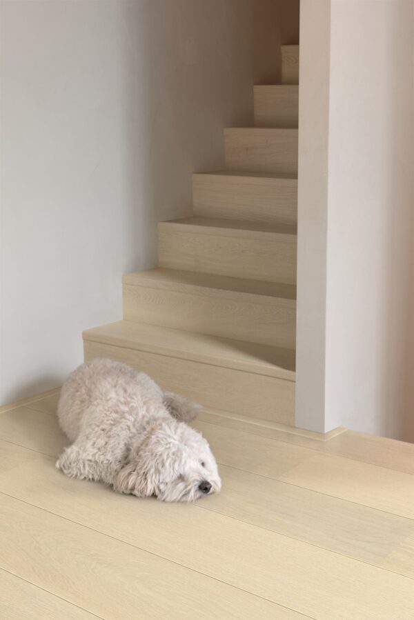 Snow white oak extra matt Snow white oak extra matt