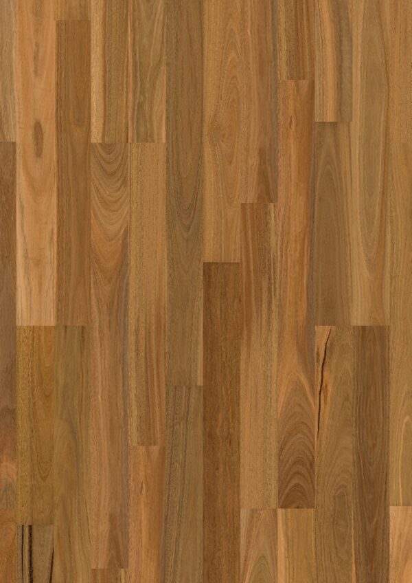 Spotted gum 2 strip high sheen Spotted gum 2 strip high sheen