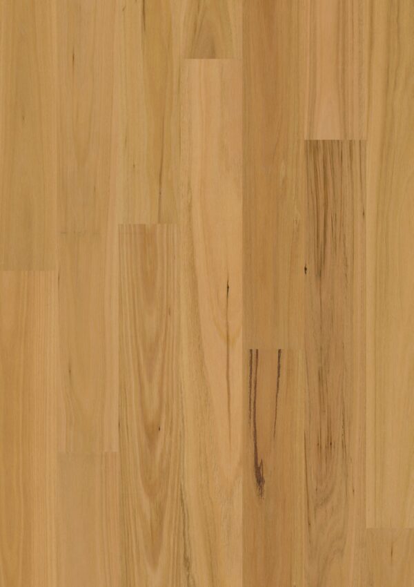 Brushed blackbutt 1 strip matt Brushed blackbutt 1 strip matt
