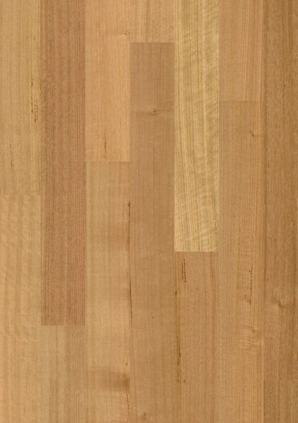 Tasmanian oak 1 strip matt brushed Tasmanian oak 1 strip matt brushed