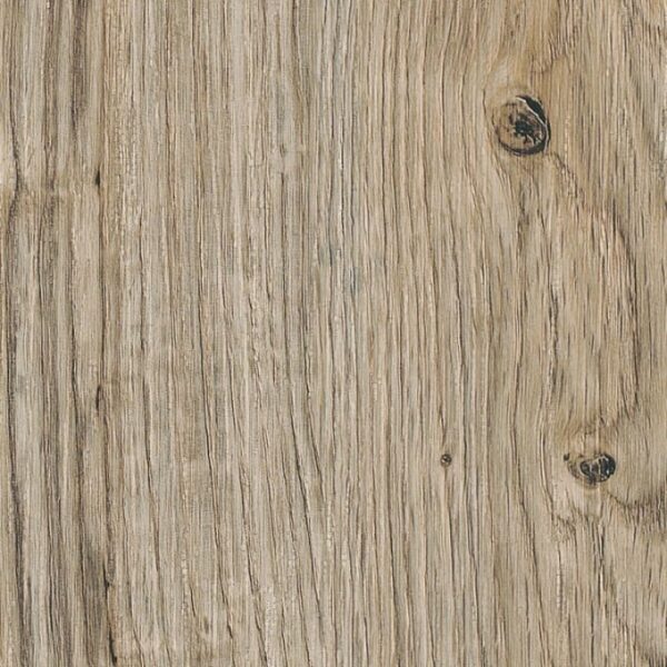 Sun Bleached Oak